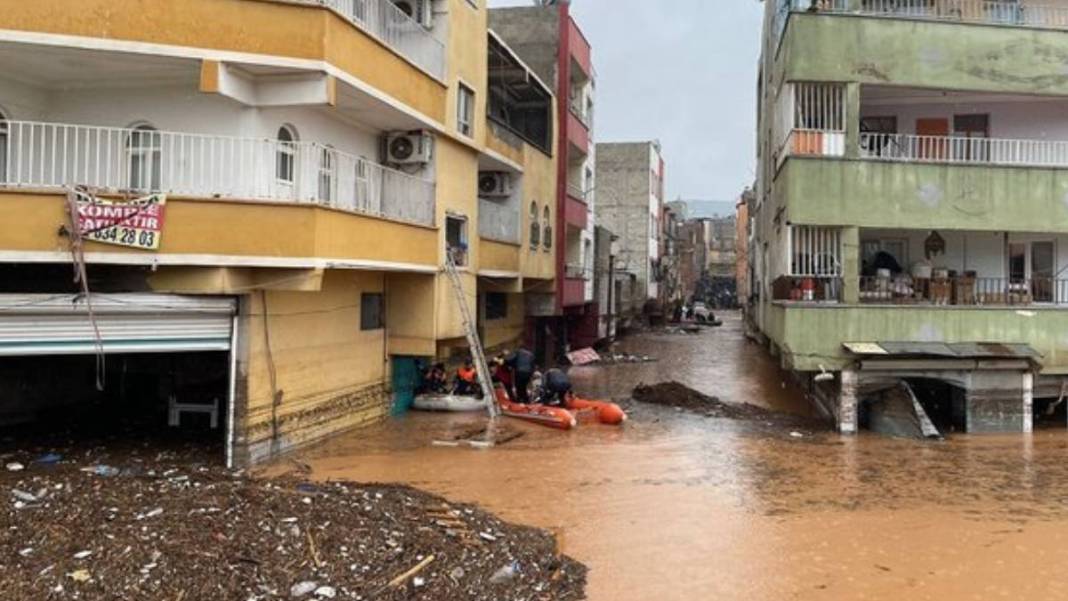 Bir bu eksikti! Depremin ve sel felaketinin vurduğu kentte yılan dehşeti: Yılanlar her yere saçıldı 1
